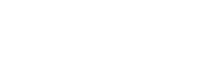 DAMO — Development and Management Organisation
